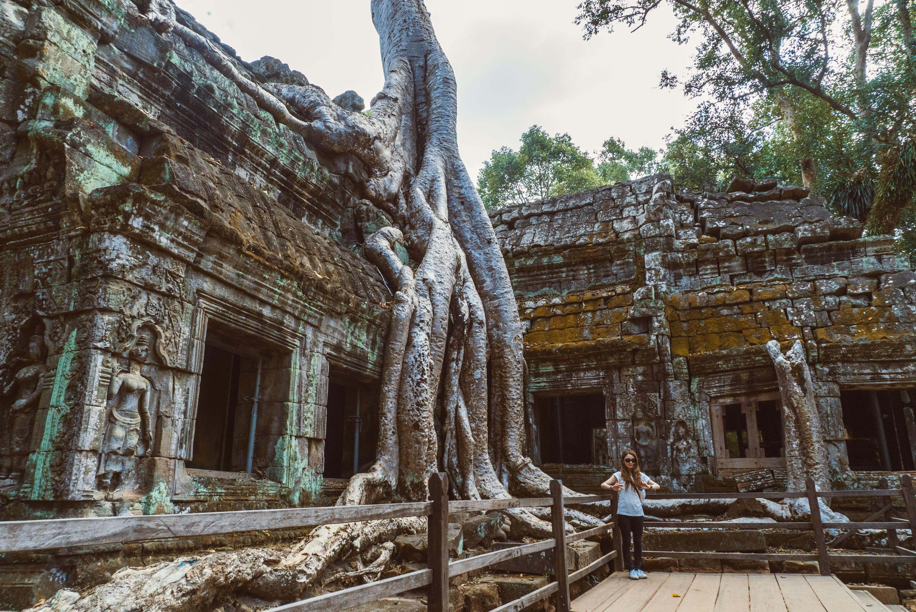 ta prohm 