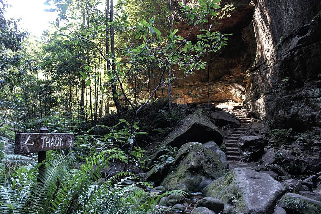 Blue Mountains Tour