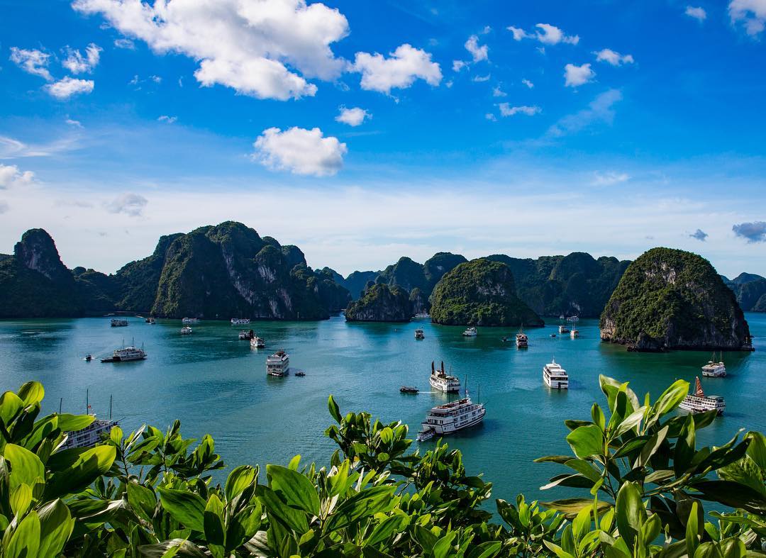 Ha Long Bay cruises