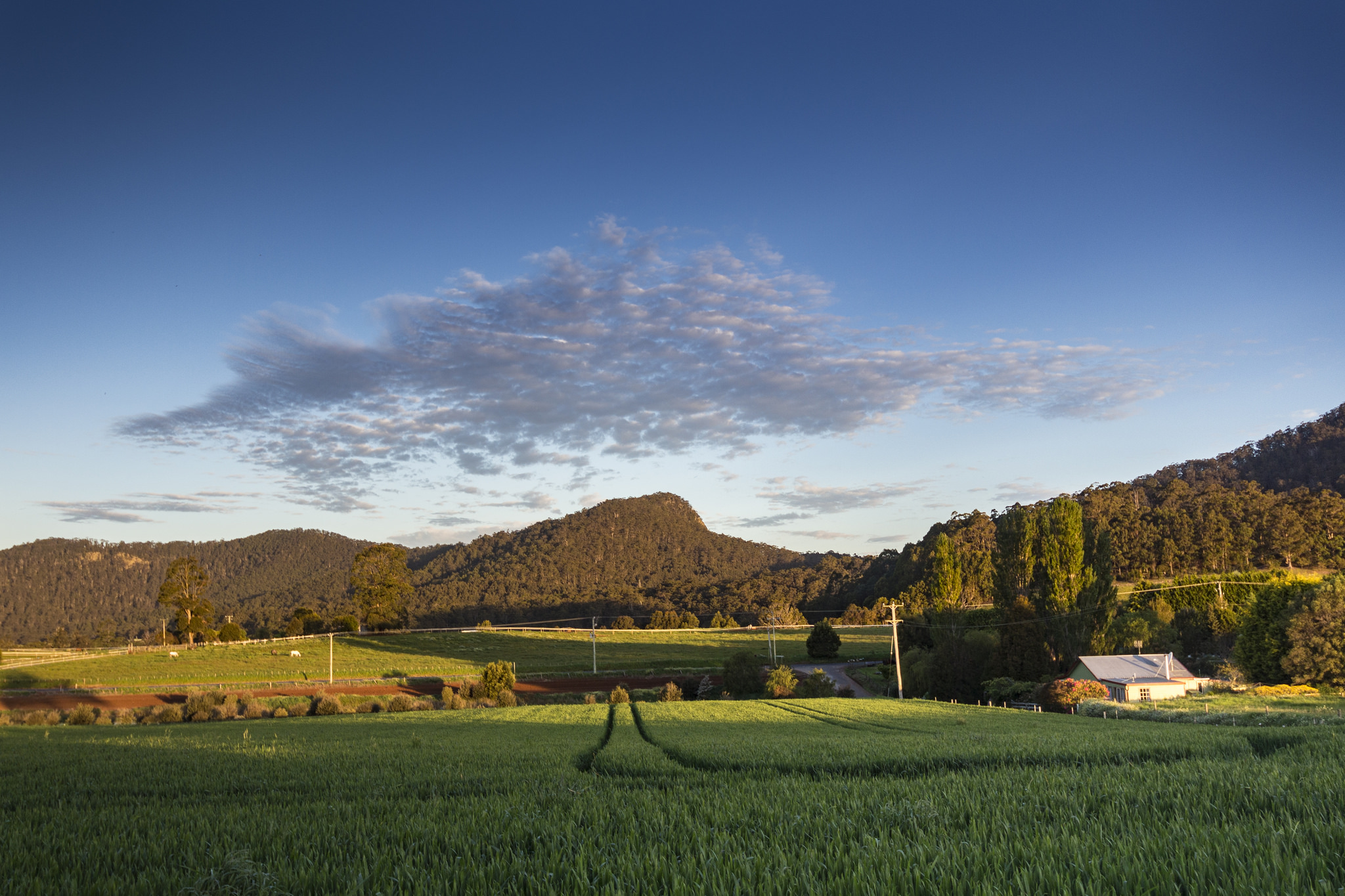 australia with kids 