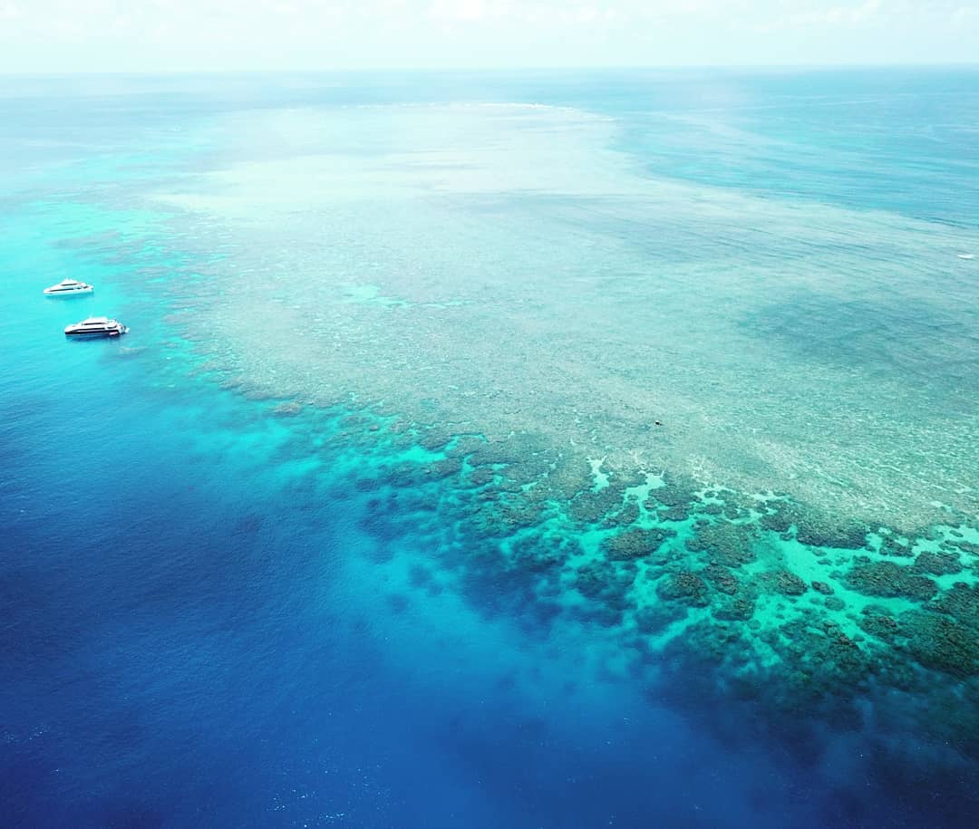 the great barrier reef 