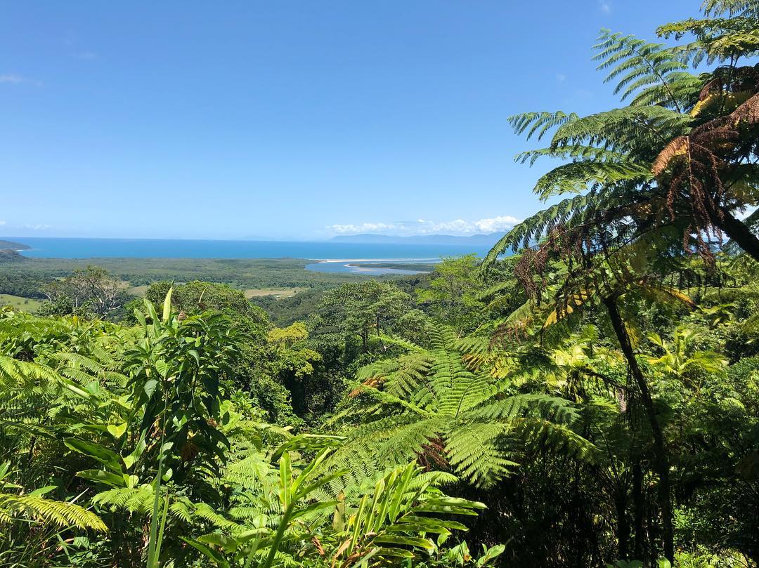 Port Douglas guide