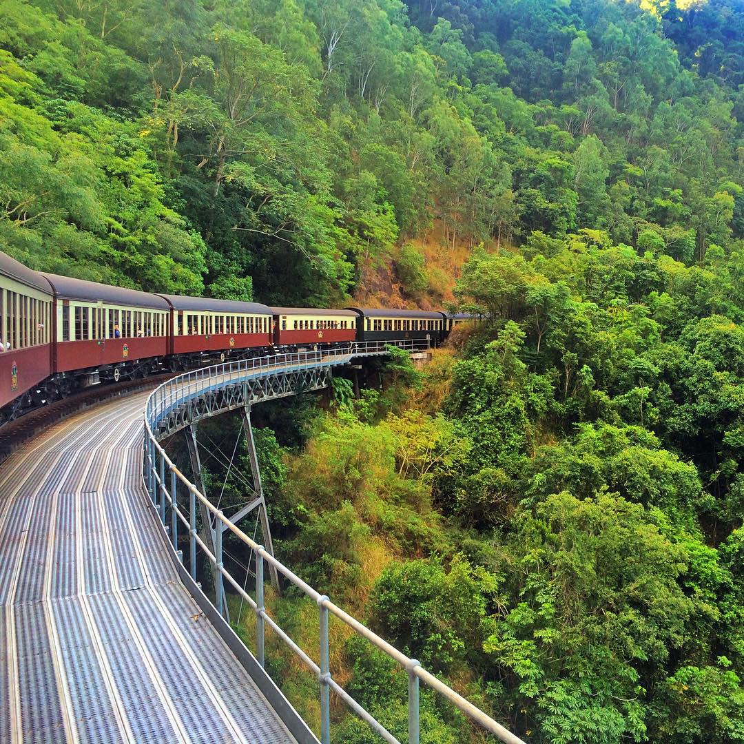 Visit The Rainforest By The Magnificent Skyrail Rainforest Cableway ...