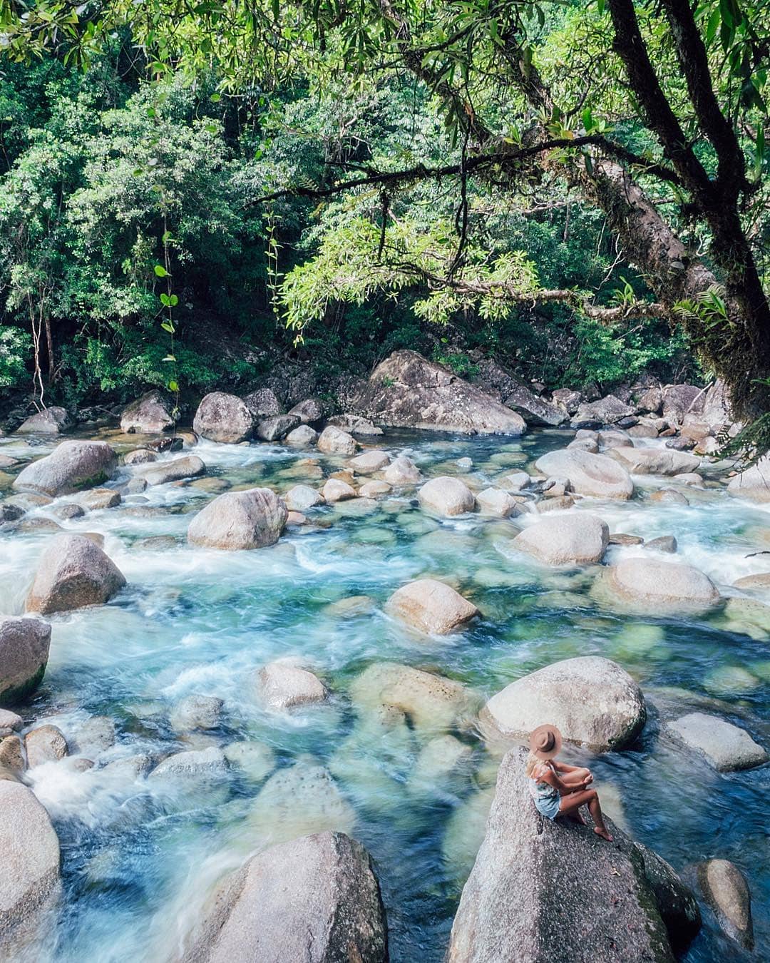 daintree cairns 