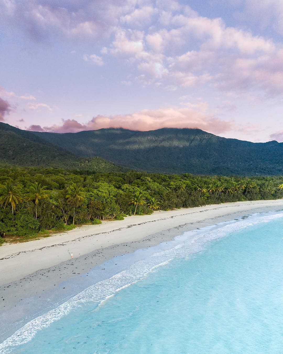 daintree cairns 