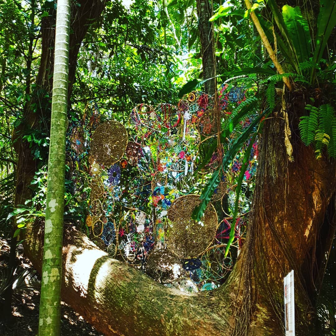 Cairns Botanic Gardens Guide