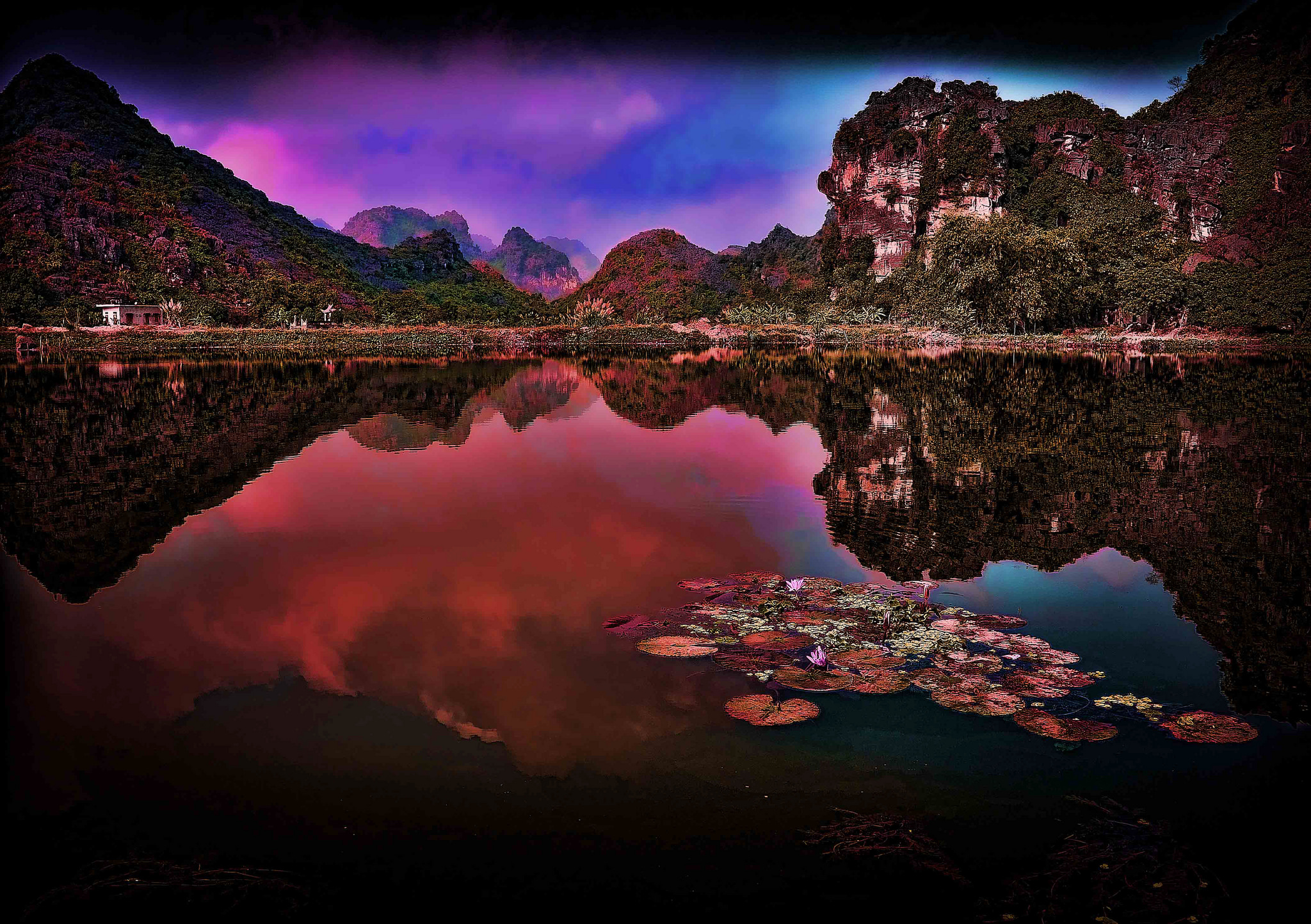 hoa lu tam coc