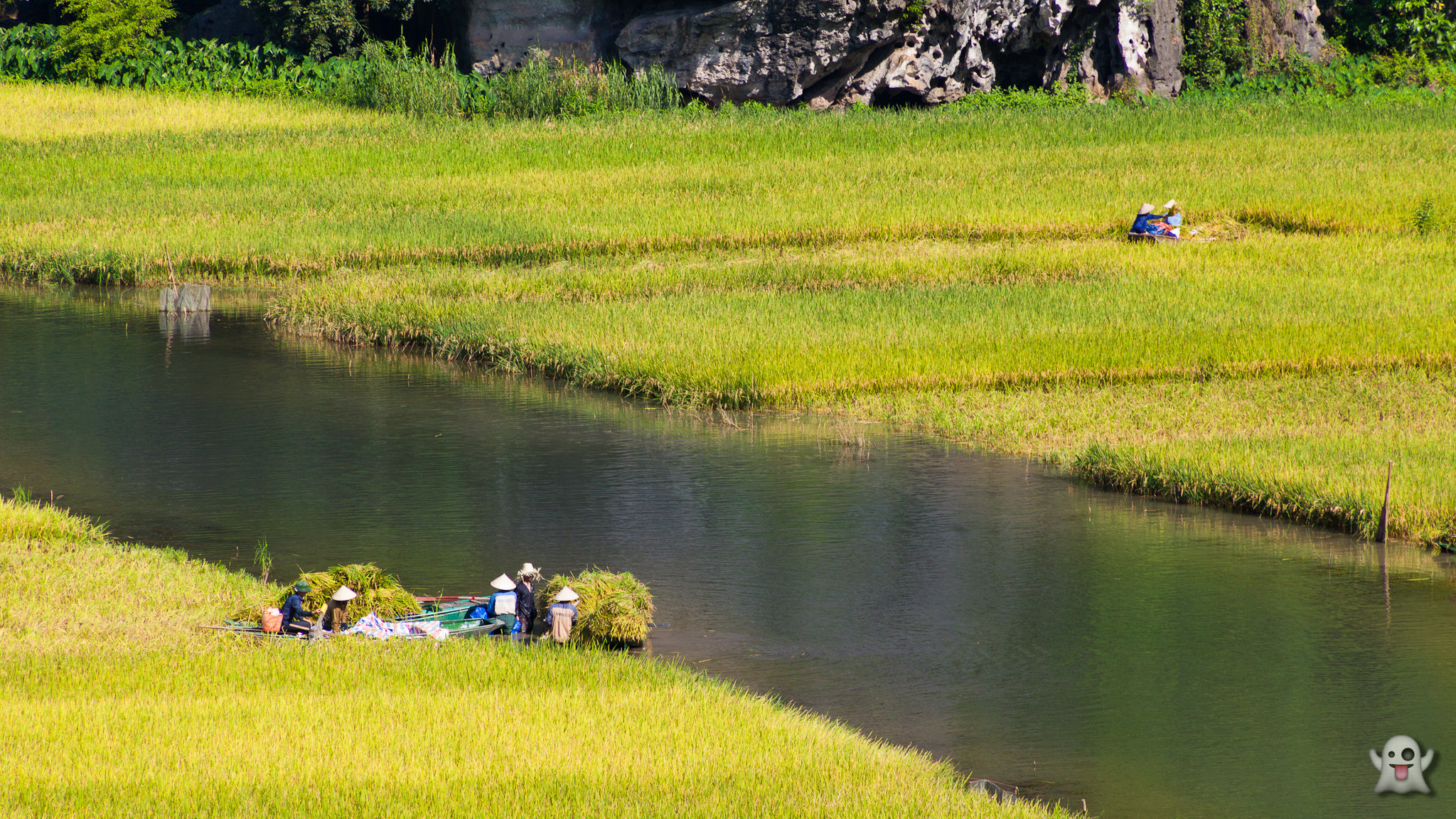 hoa lu tam coc