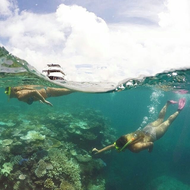 cairns great barrier reef