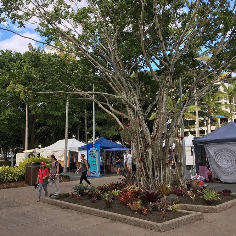 cairns market