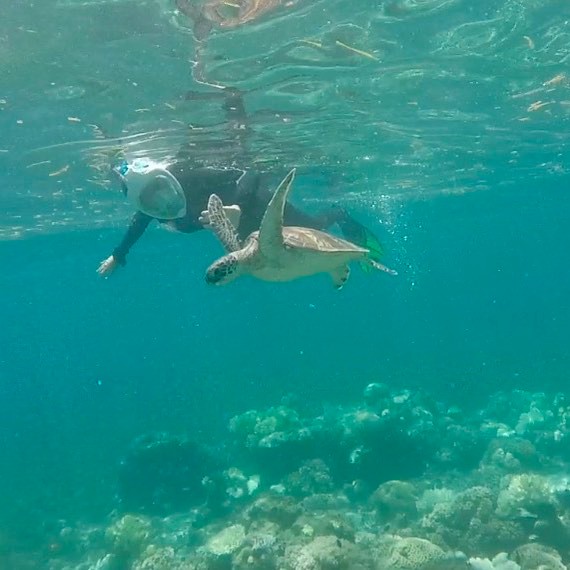 green island cairns