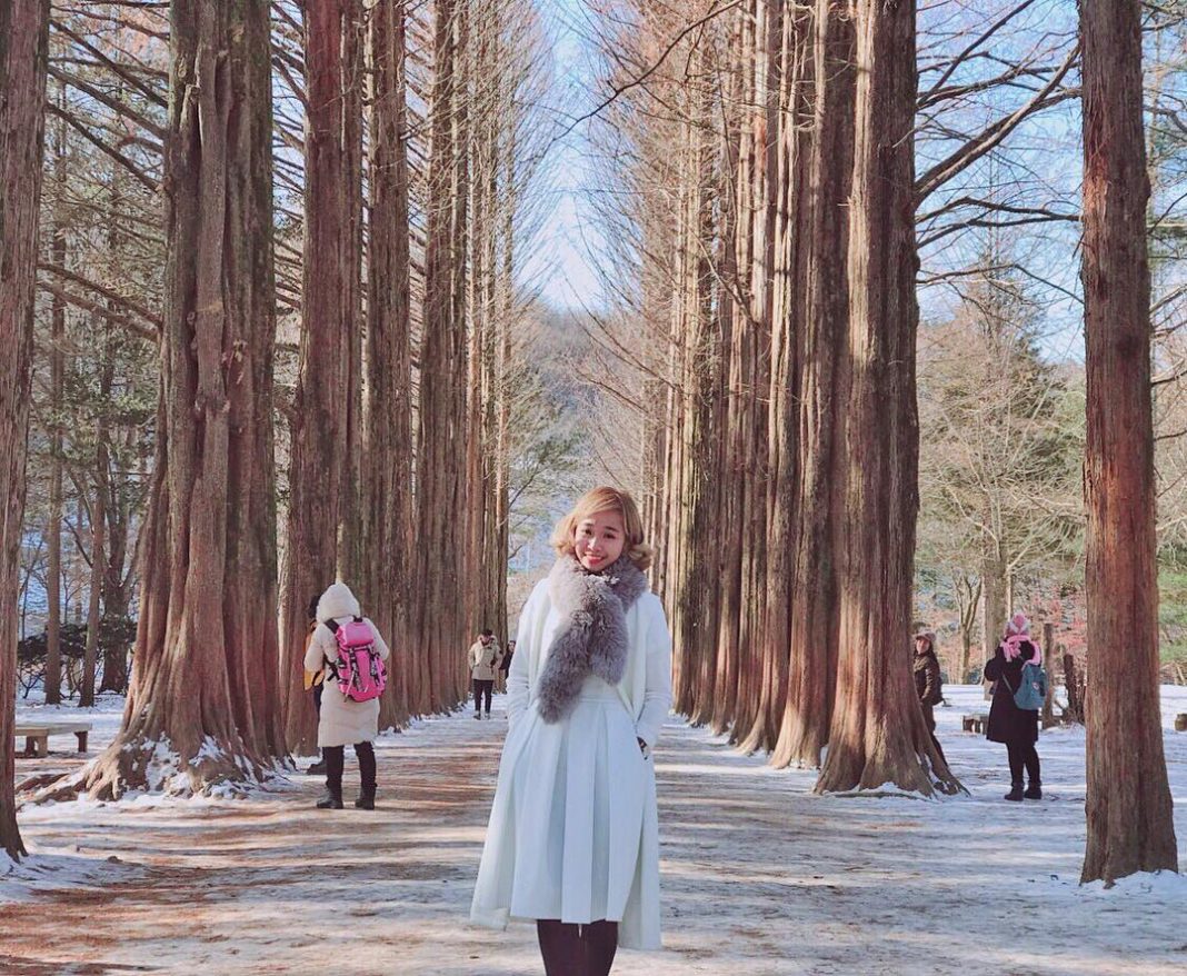 An amazing day trip to Nami Island - Local Insider by Inspitrip