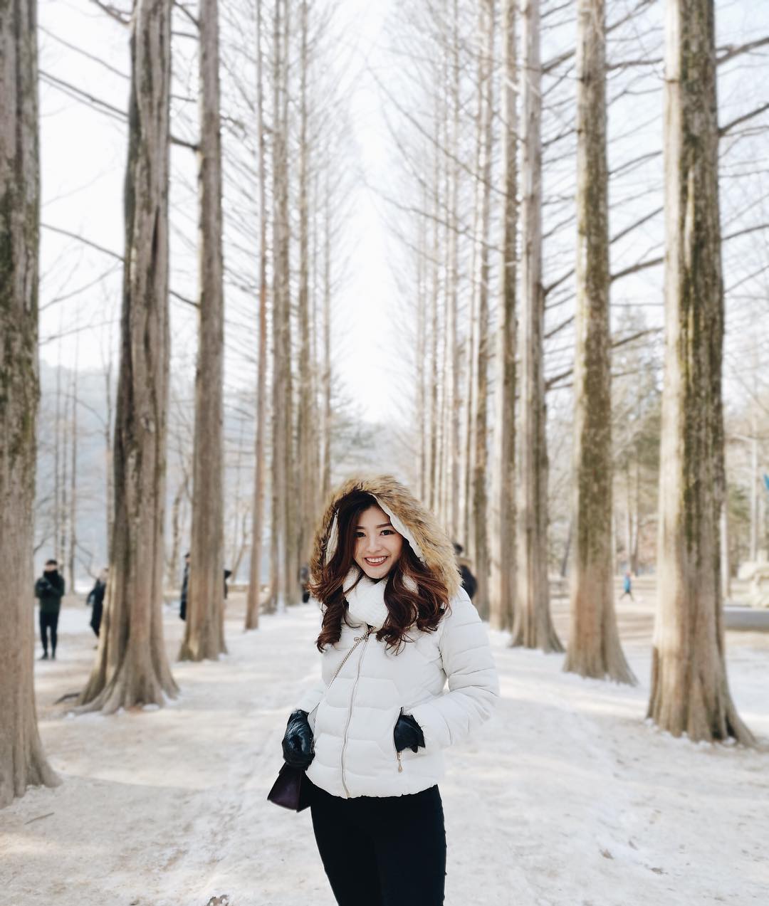 An Amazing Day Trip To Nami Island Local Insider