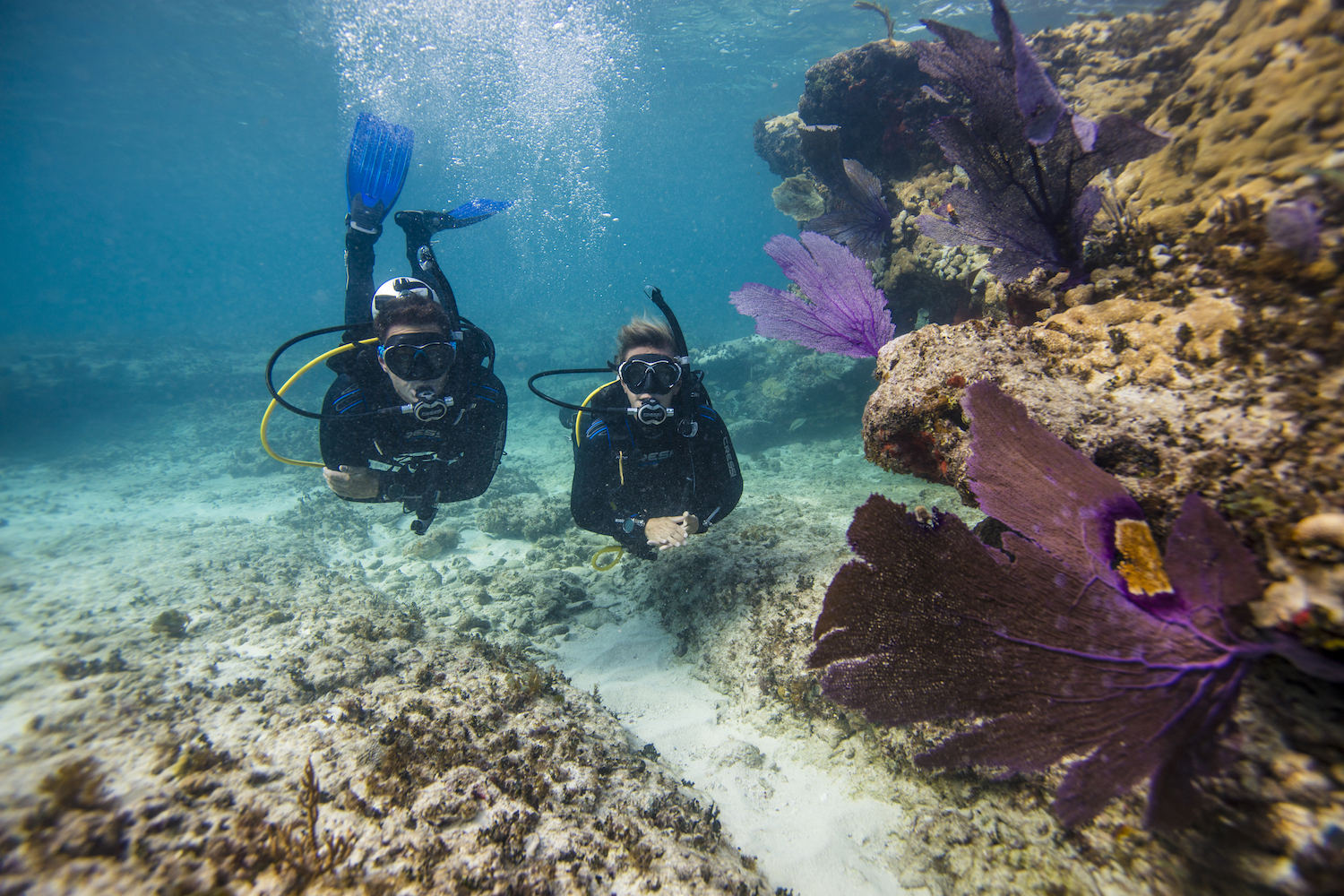 phu quoc saigon tourist