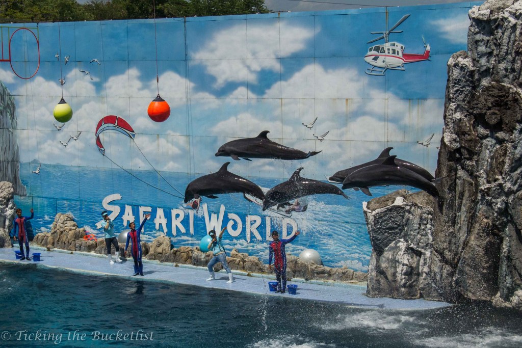 Dolphin show at the Safari World Bangkok