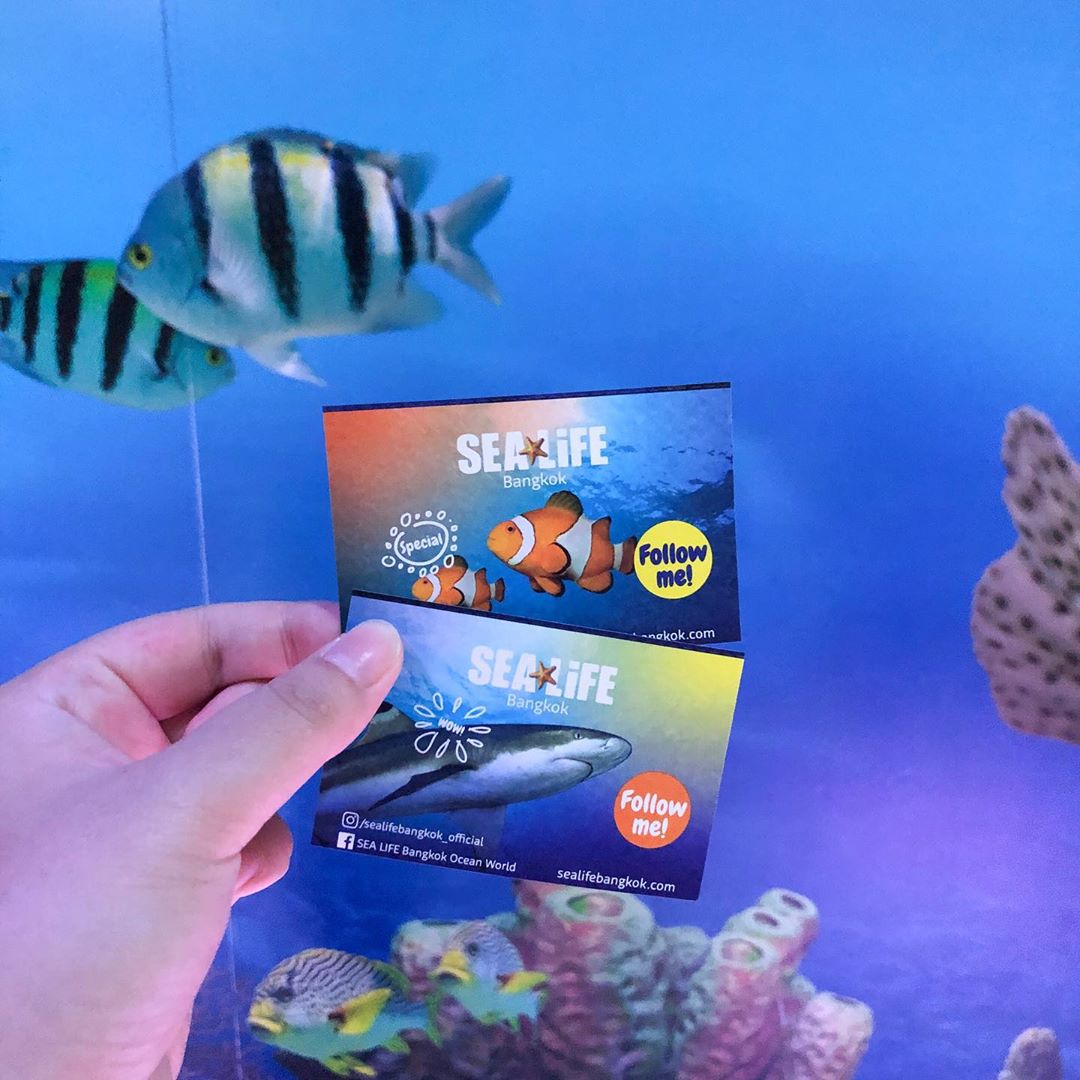 tickets to Sea Life Bangkok Ocean World 