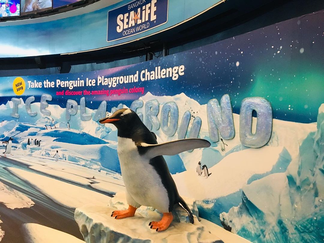 Penguin Ice Adventure in Sea Life Bangkok 