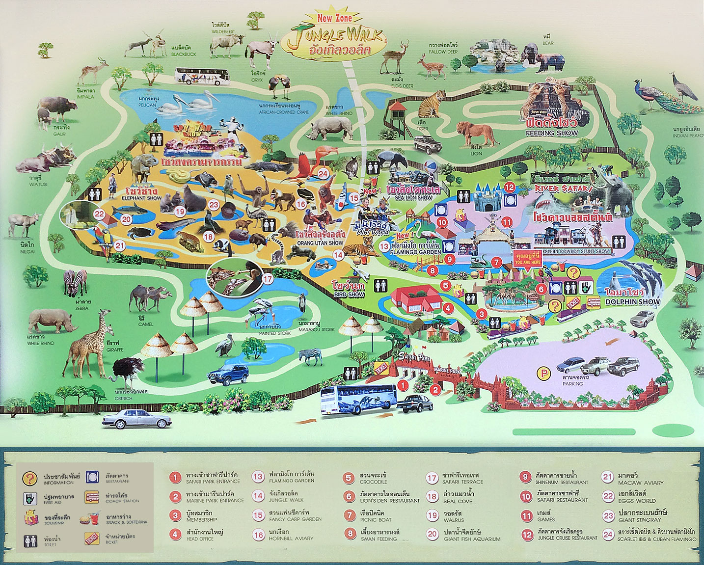 83e0dc06 Safari World Map Big 