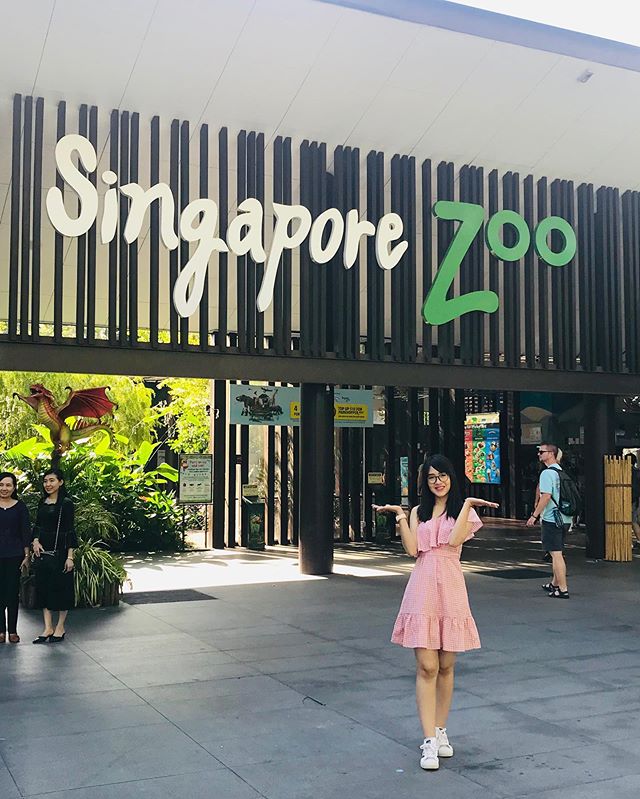 best day to visit singapore zoo