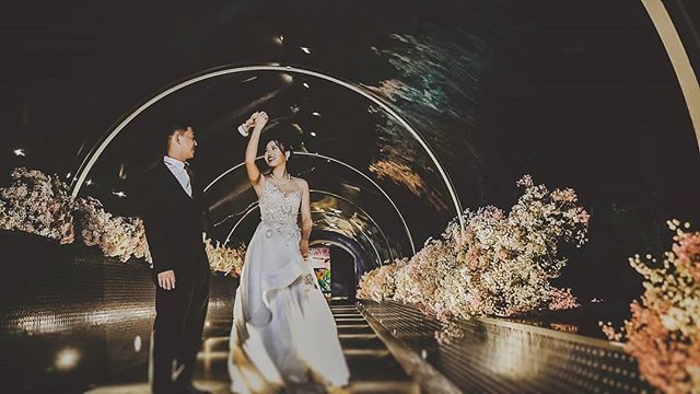 Pre-wedding photo taken inside the aquarium