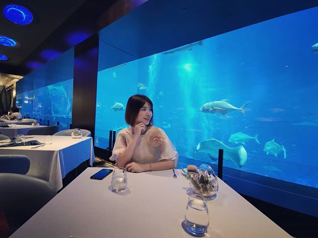 Dinner at  Opean Ocean