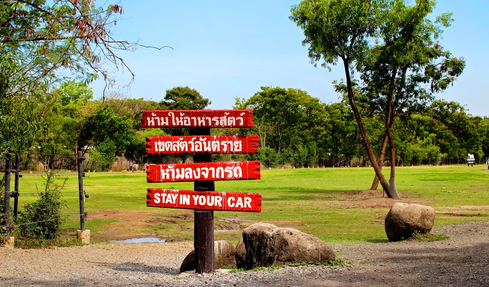 Red wooden signs saying Stay In Your Car at the Safari World Bangkok