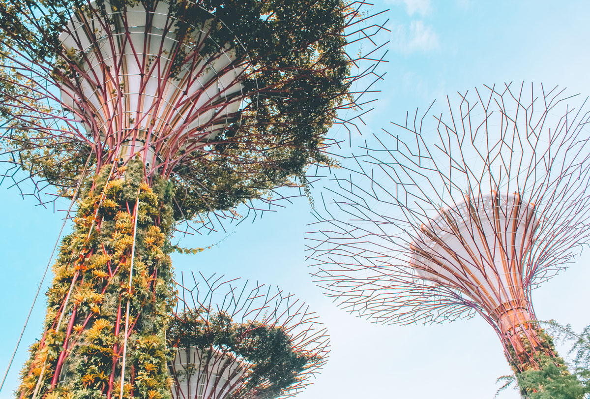 The futuristic Supertree Grove - Singapore itinerary