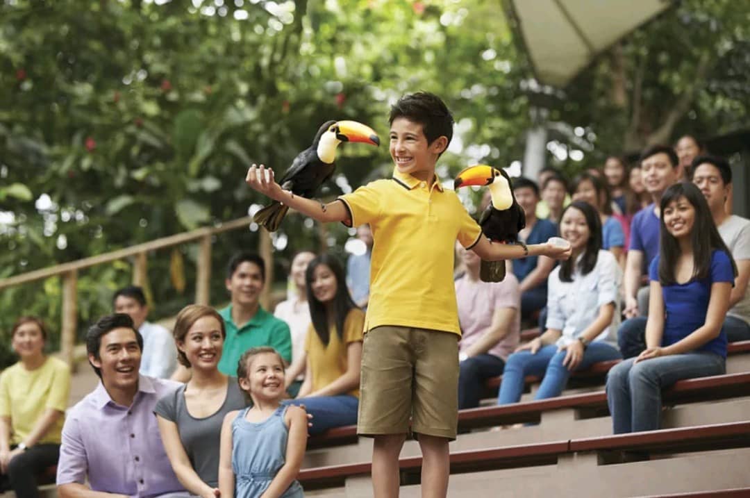 Boy playing with toucans in Jurong Bird Park - Singapore itinerary