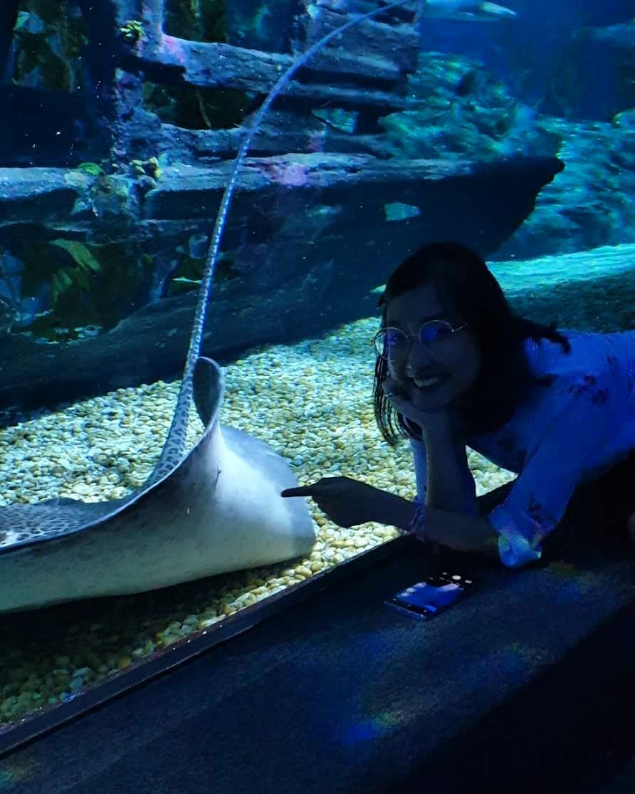 Rocky Shore zone in Sea Life Bangkok