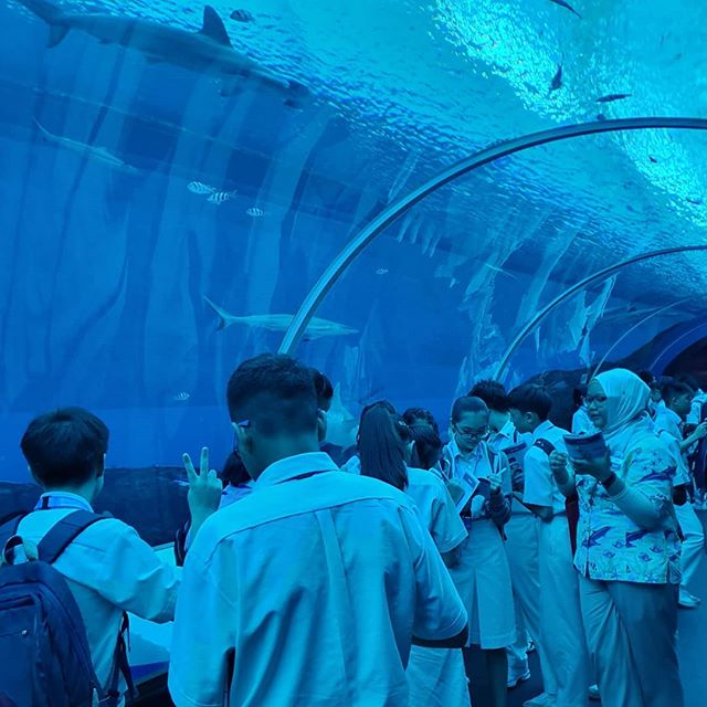 Students visit S.E.A Aquarium