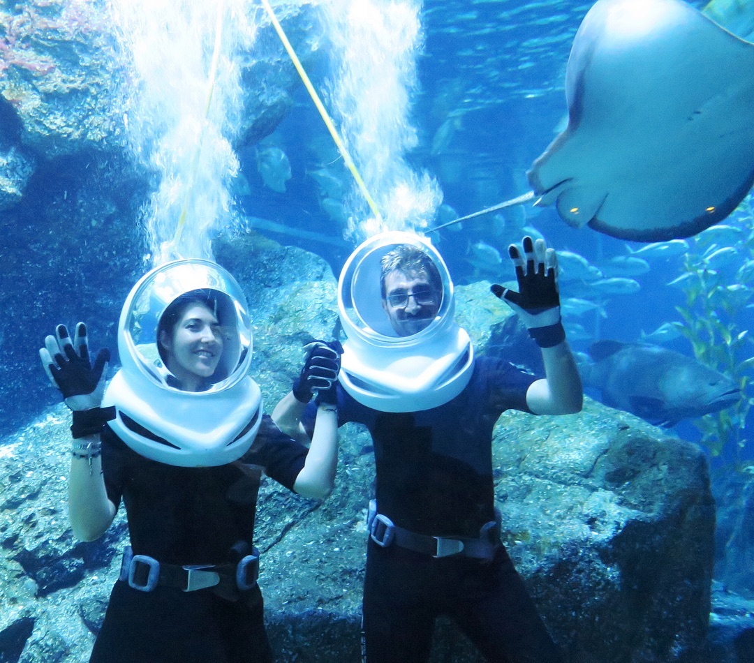 Sea Trek in Sea Life Bangkok