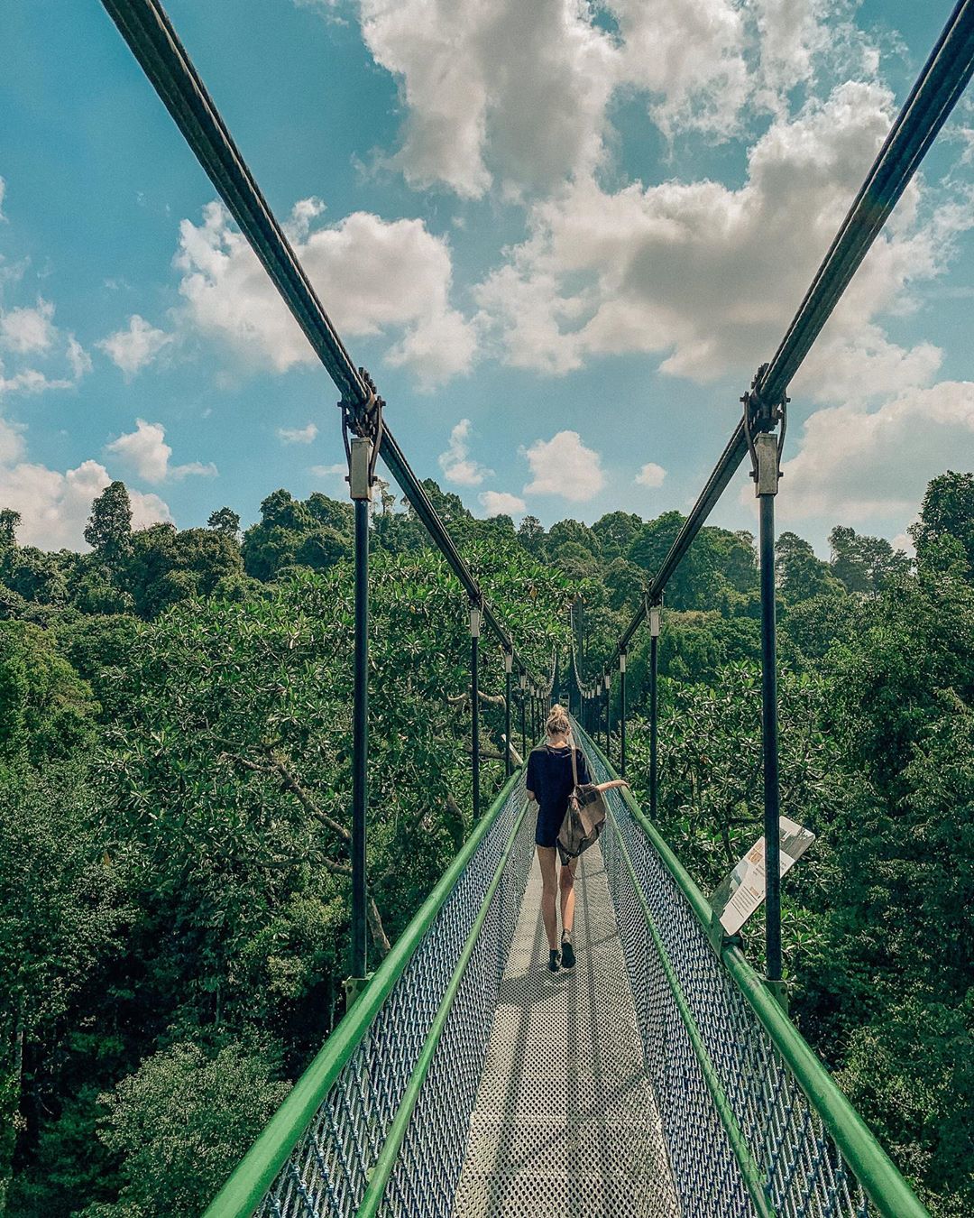 Travel to Singapore - Treetop Walk