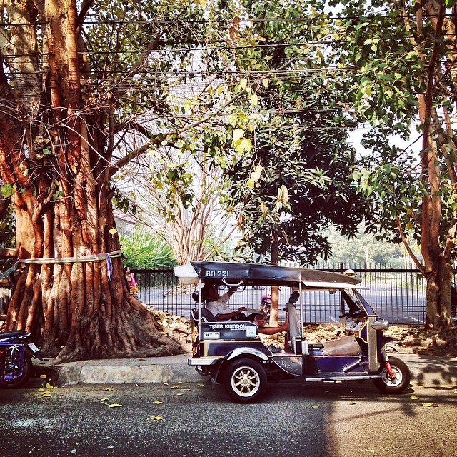 A Tuk tuk parking under a tree