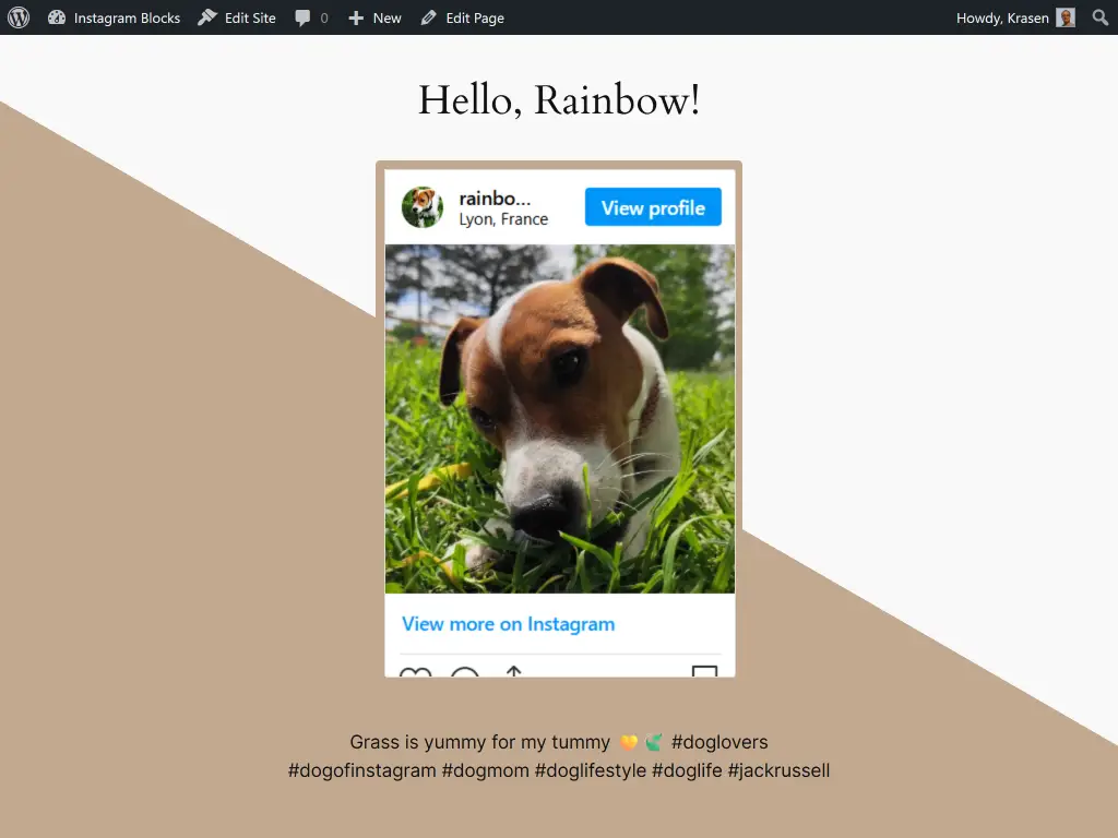 Feature Screenshot Image