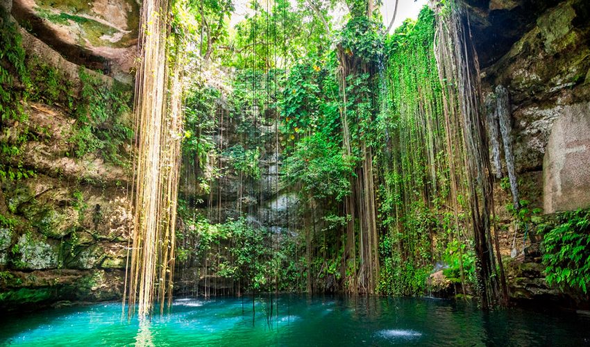 Cenote de Ik Kil - Foto: Shutterstock