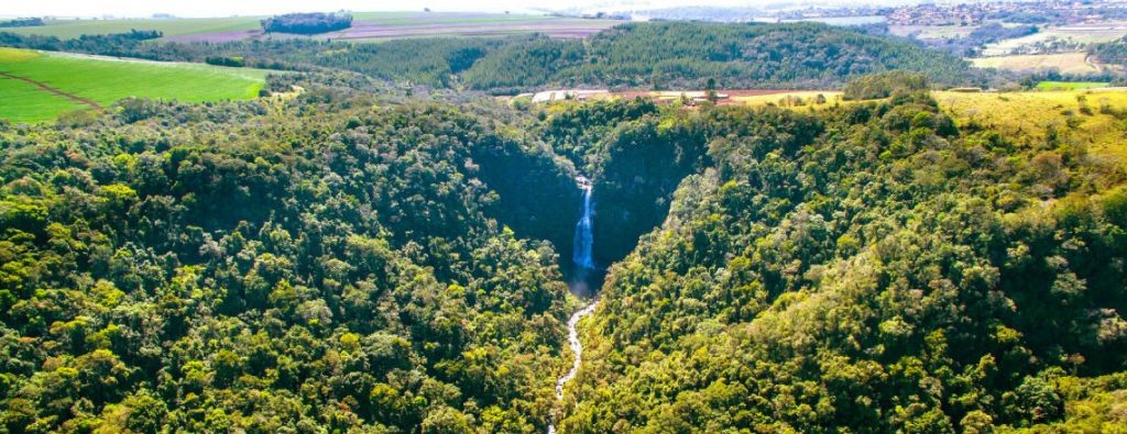 Lugares para viajar no Paraná saindo de Curitiba!