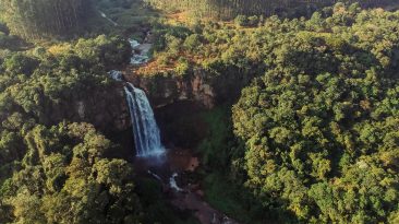 Lugares para viajar no Paraná saindo de Curitiba!