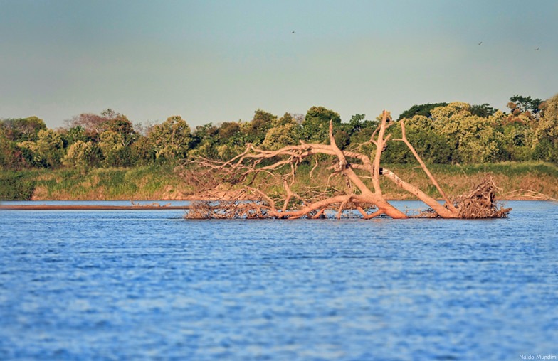 Foto do Rio Araguaia