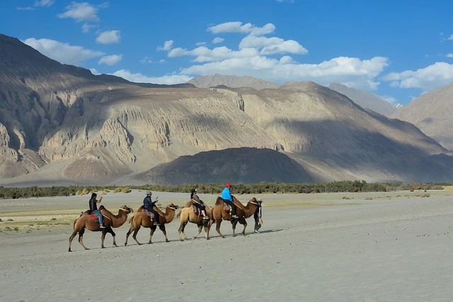 Ladakh PACKAGE