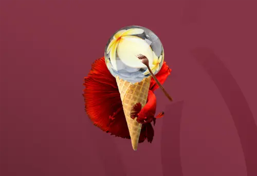 Des offres restauration complète et diversifiées