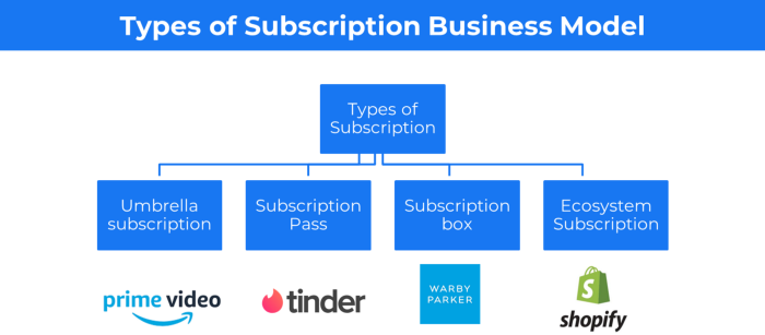 Types of Subscription Business Models