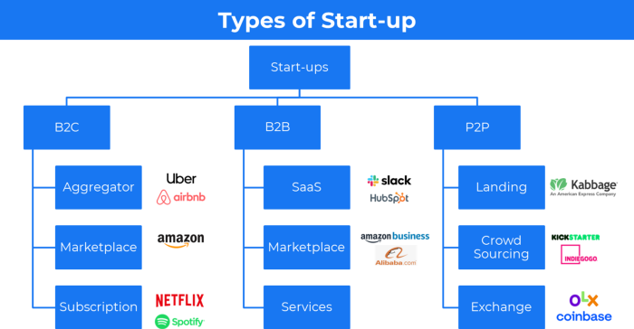 Types of Startup