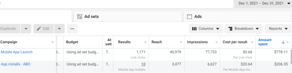 First month’s FB Ad report