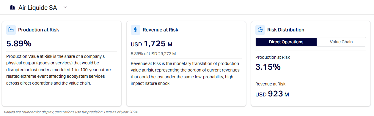 Air Liquide SA - production at risk (5.89%) and revenue at risk (USD 1,725M) - NVaR