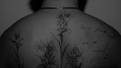 nolan.mueller03@gmail.com