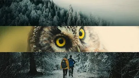 Documentary of an ornithologist passionate by birds and nature