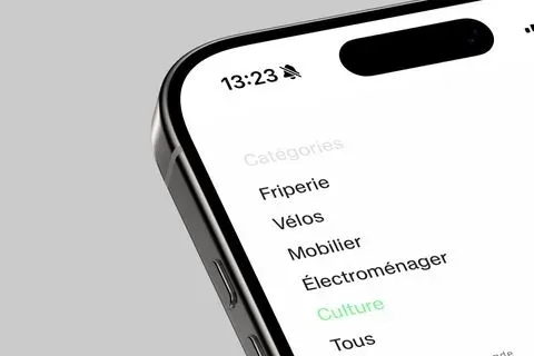 Categories in the landing page