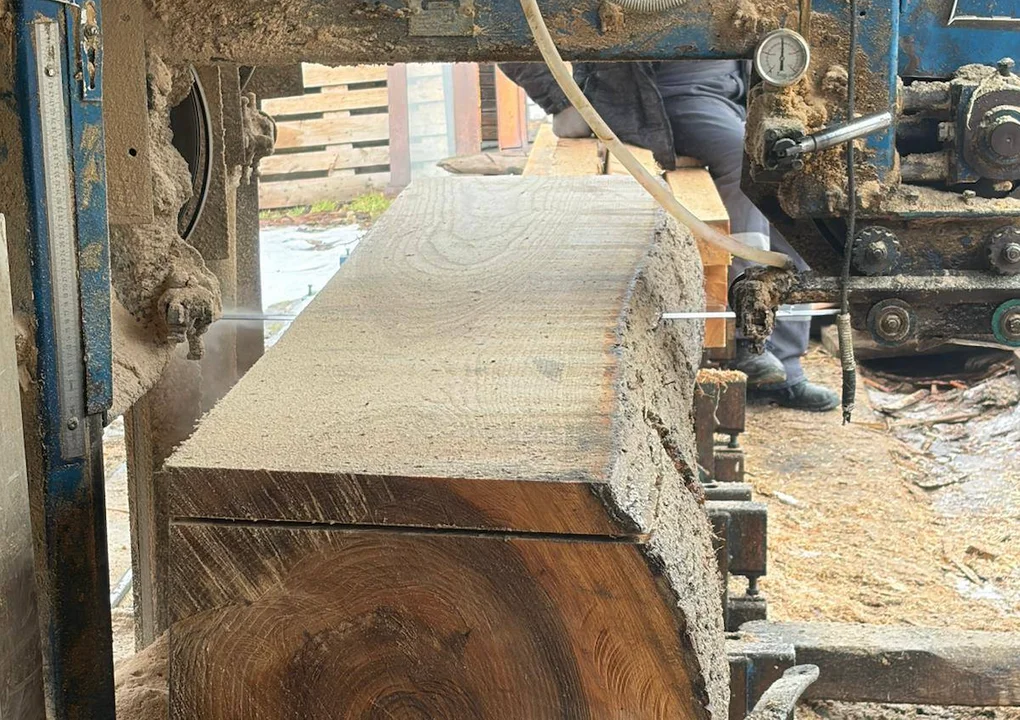 Kłodzko. Co powstanie z powalonego drzewa?