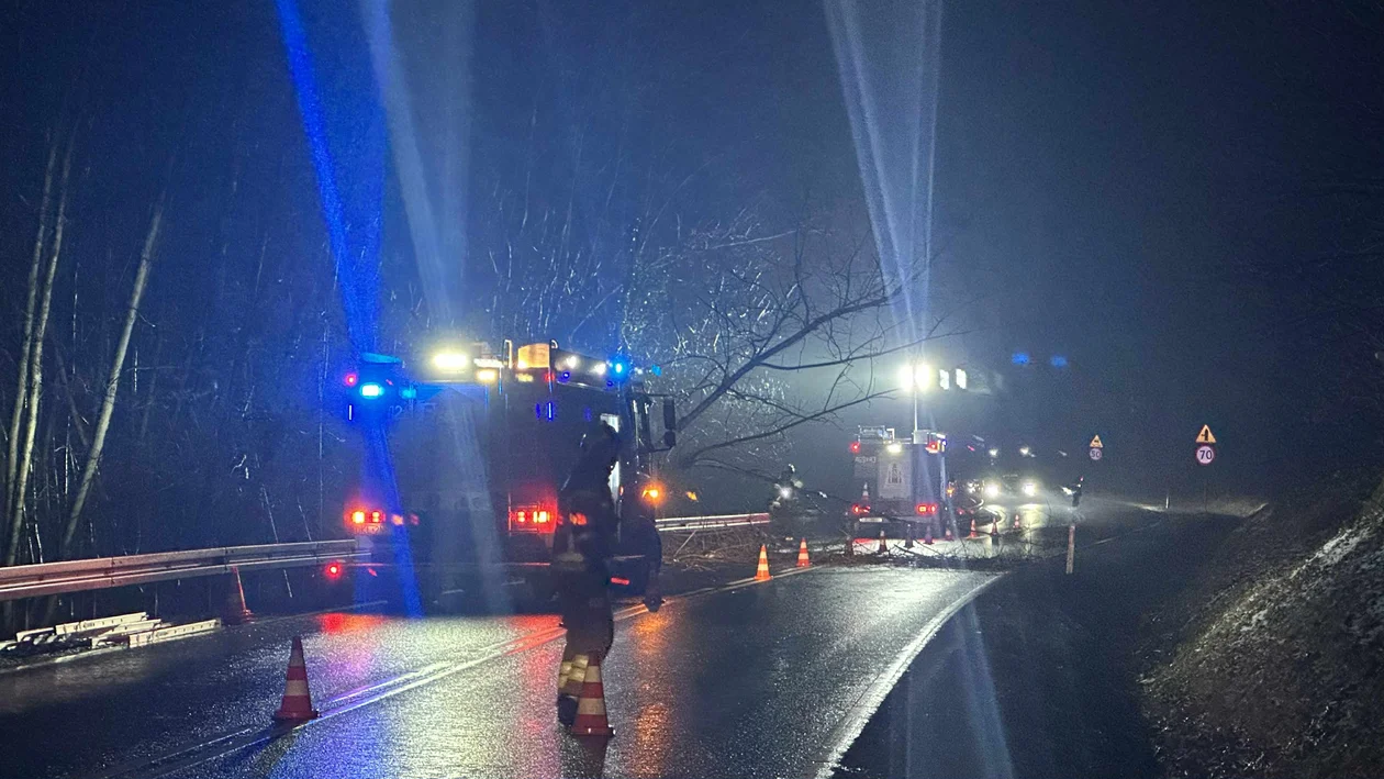 Podzamek - kolejne drzewo na drodze