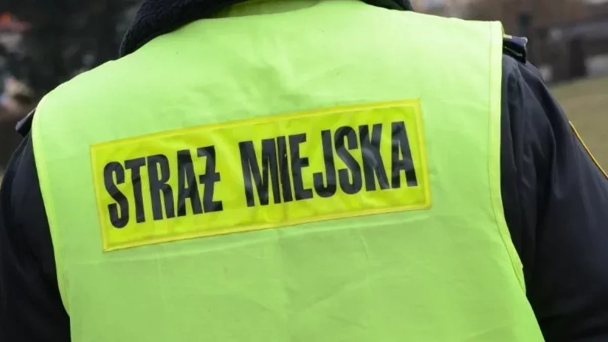 KŁODZKO. Uchybienia w Straży Miejskiej. Chodzi m.in. o mandaty i dokumentację